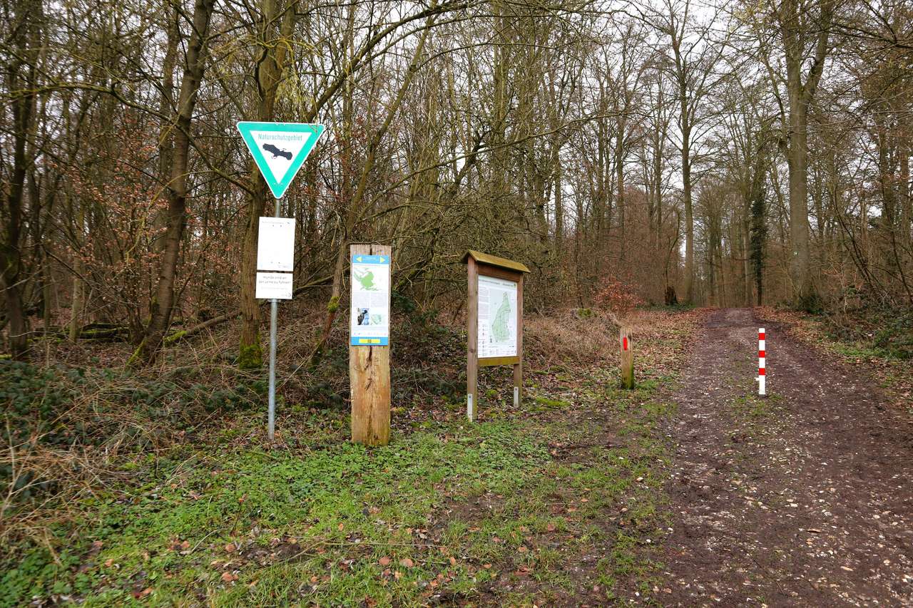 Frechen-Kleinkönigsdorf: S-Bahn, Sauna, Schrittnah zum Wald! 4-5 Zimmer Wohlfühl-Charakterhaus!
