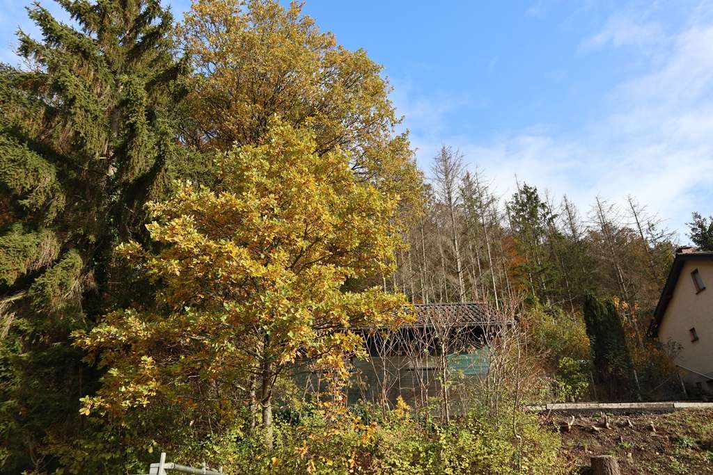 Durchdachtes Raumwunder für ein Landleben im idyllischen Feytal